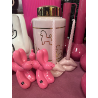 Beeld Doggystyle Ballonhond Neon Pink Housevitamin