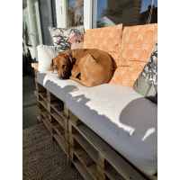 Kussen Print Oranje Wit 60x60cm Kersten