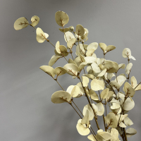 Bloemstengel Leaf Spray Creme 25x80cm