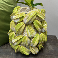 Vaas Carambola Groen 50cm Light&Living