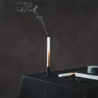 Kaarsen Dipdye Wit / Goud Housevitamin