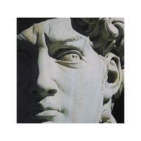 Wanddoek Michel Angelo David Fluweel 140x170cm