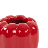 Vaas Paprika Bellpepper Rood 13,5cm Light&Living