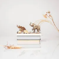 Deurknop Olifant Goud set van 2 Housevitamin