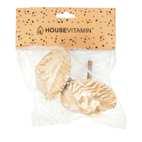 Deurknop Leeuw Goud set van 2 Housevitamin