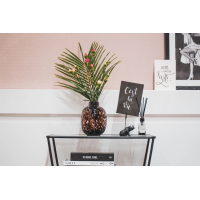 Vaas Glas Helderbruin Panter 12x16cm Housevitamin