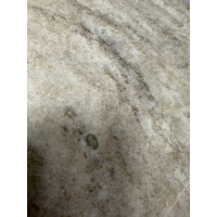 Schaal op voet Bruin met Wit Marmer 32cm Light&Living