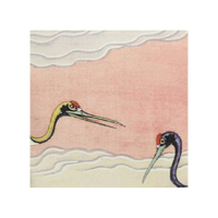 Kussen Vogels Jungle Velvet 45x45cm Kersten