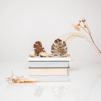 Deurknop Monstera Blad Goud set van 2 Housevitamin