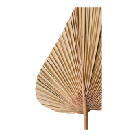 Siertak Hout Plantae 20x50cm Light&Living