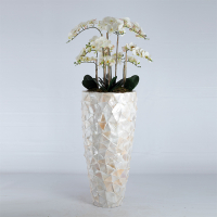 Siertak Orchidee Bora Wit 108cm Pot&Vaas