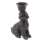 Kandelaar Labradoodle Hond Zwart