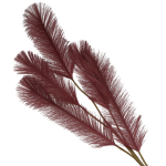Siertak pluim Bordeaux 110cm