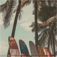 Wanddoek Surfplanken Fluweel 105x136cm