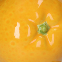 Vaas met Sinaasappels Orangevaas 18,5cm Kersten