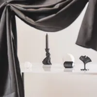 Kandelaar Labradoodle Hond Zwart