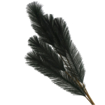 Siertak pluim Groen 110cm