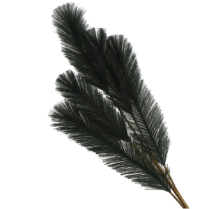 Siertak pluim Groen 110cm