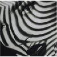 Wanddoek Lady Stripes 140x170cm