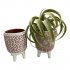 Plantenpot Aardewerk wit met roze 