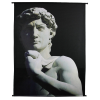 Wanddoek Michel Angelo David Fluweel 140x170cm