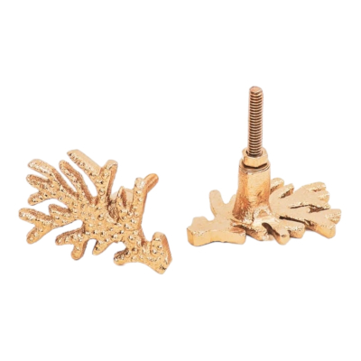 Deurknop Zeewier Goud set van 2 Housevitamin Deurknop Zeewier Goud set van 2 Housevitamin